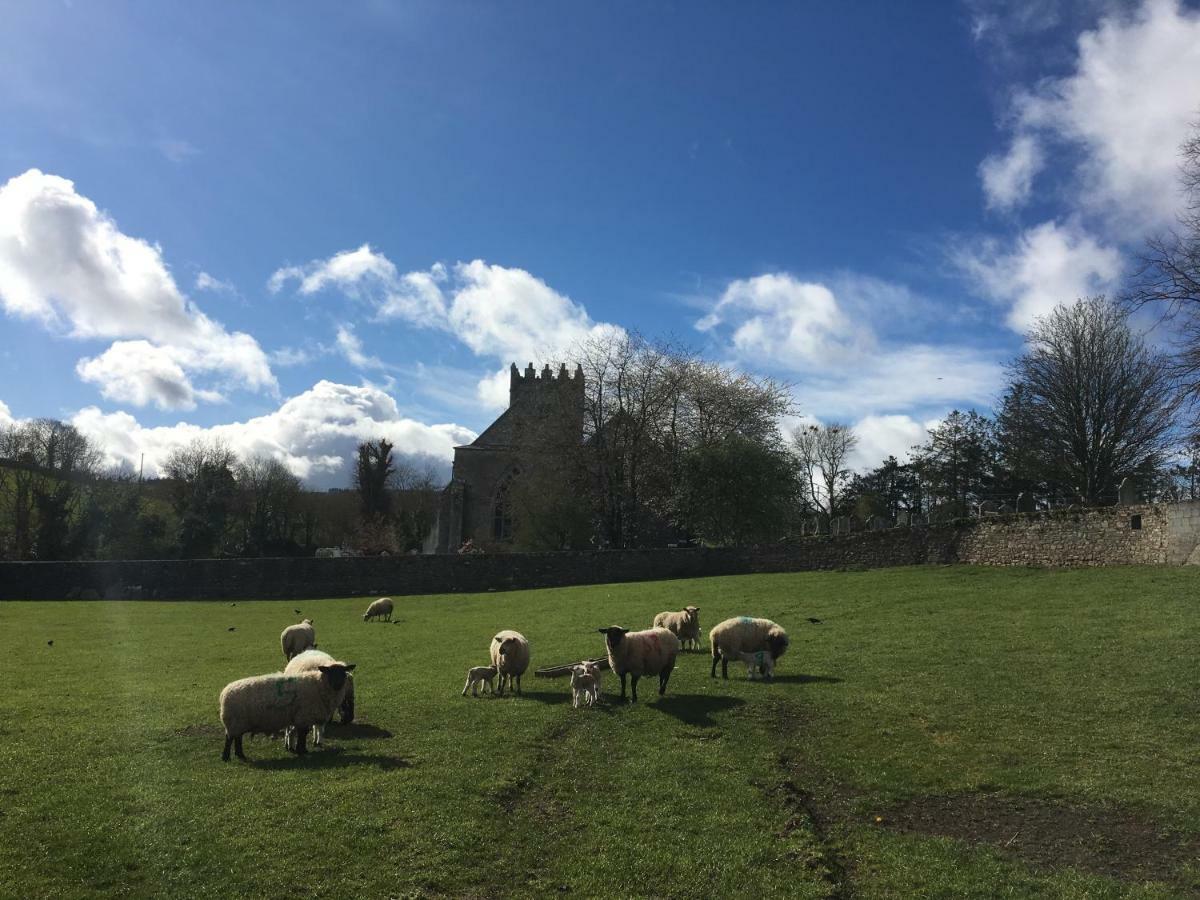 Carey'S Bar & Farmhouse Kilkenny Border Oldleighlin Exteriör bild