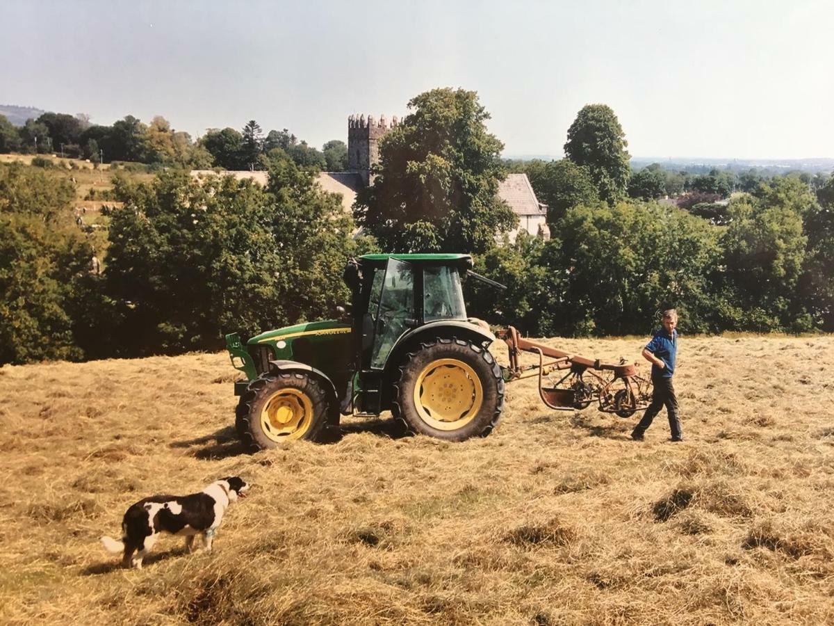 Carey'S Bar & Farmhouse Kilkenny Border Oldleighlin Exteriör bild